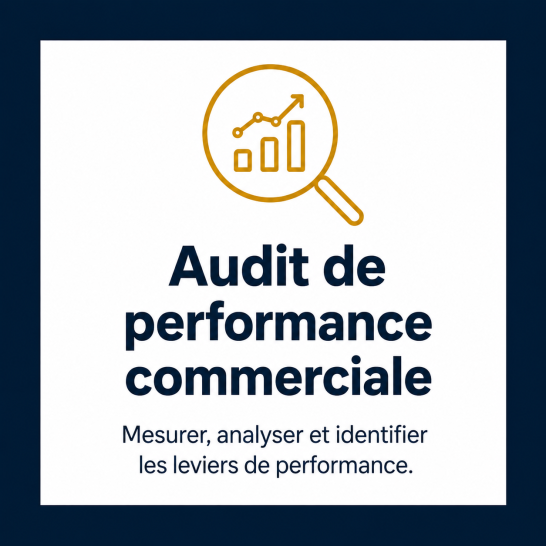 Audit de performance commerciale Pictogramme d’audit commercial représentant l’analyse de la performance et l’identification des leviers de croissance